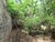 Terreno, 332 m² - Foto 4