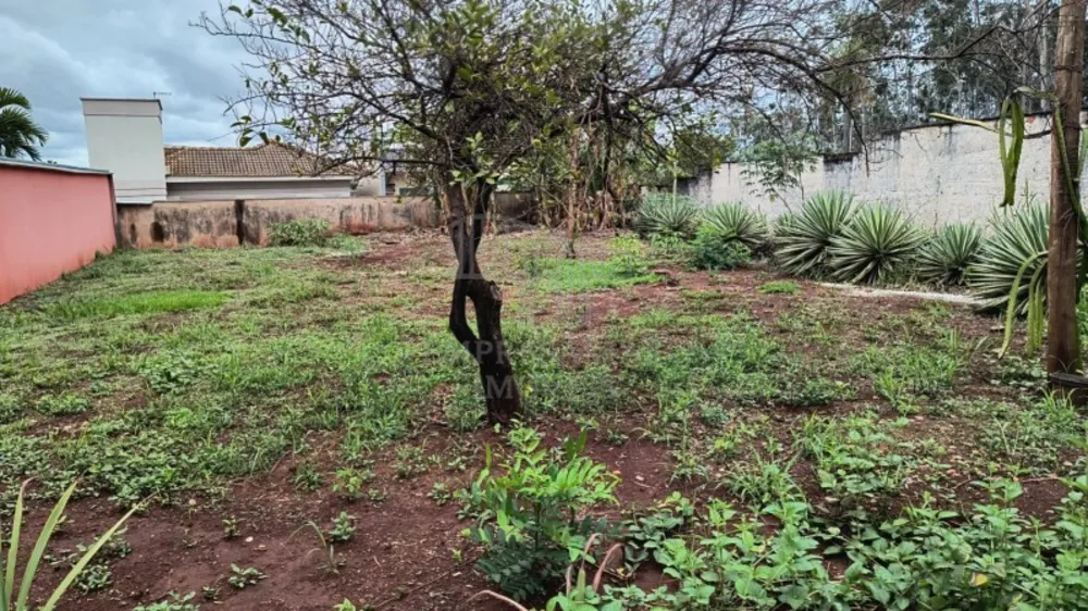 Terreno - Foto 1