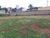 Terreno, 2000 m² - Foto 4