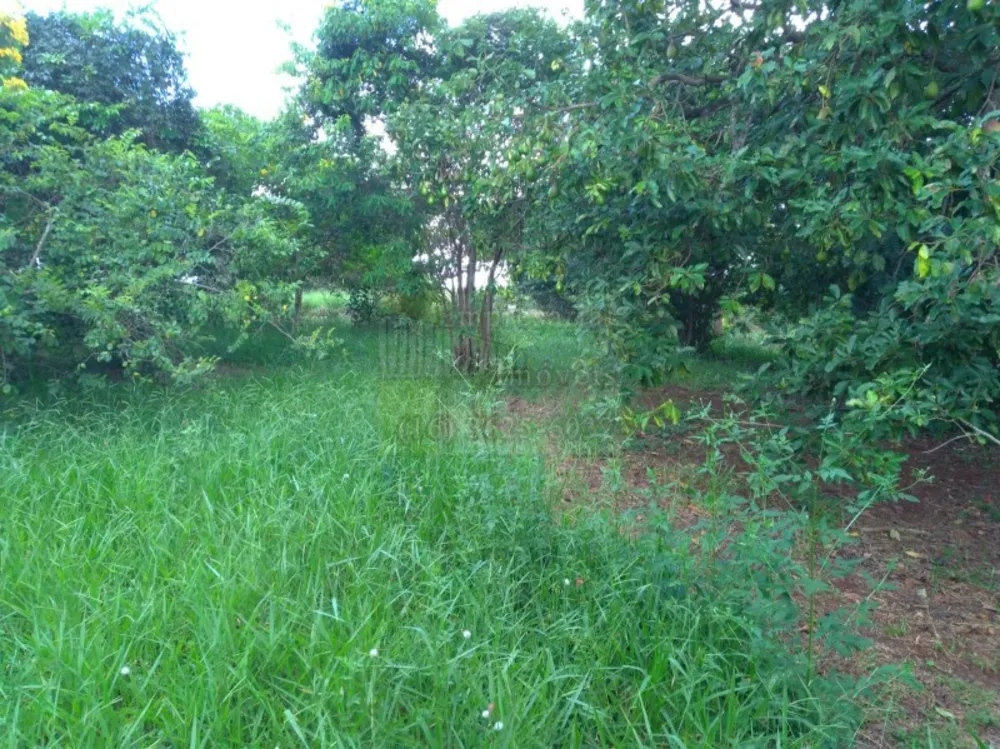 Chácara, 2 quartos, 10000 m² - Foto 10