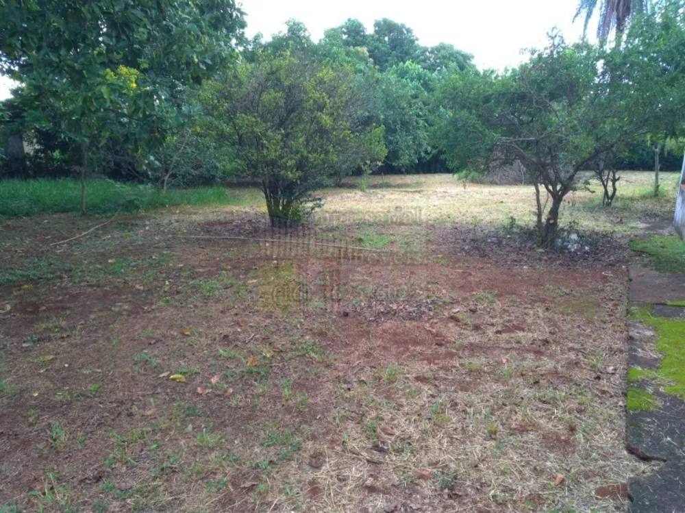 Chácara, 2 quartos, 10000 m² - Foto 2