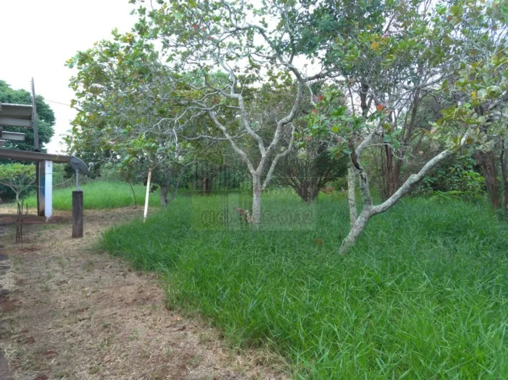 Chácara, 2 quartos, 10000 m² - Foto 3