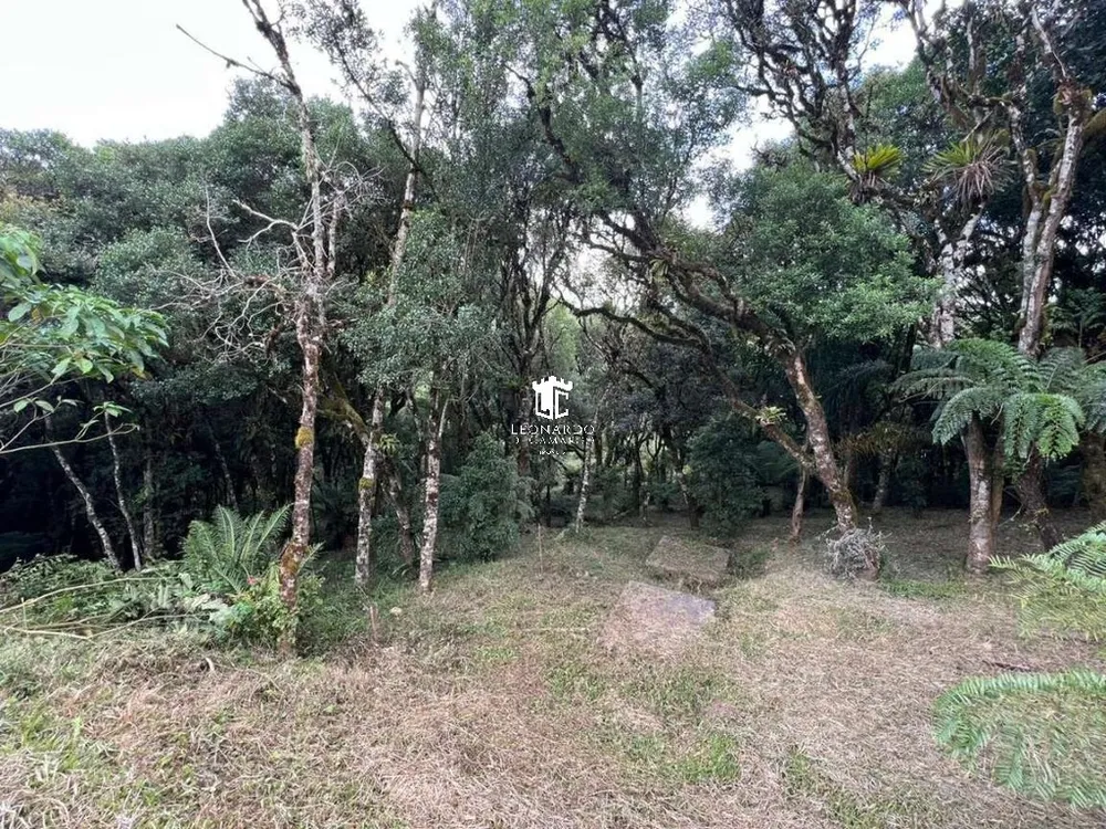 Chácara, 3 quartos, 6590 m² - Foto 3