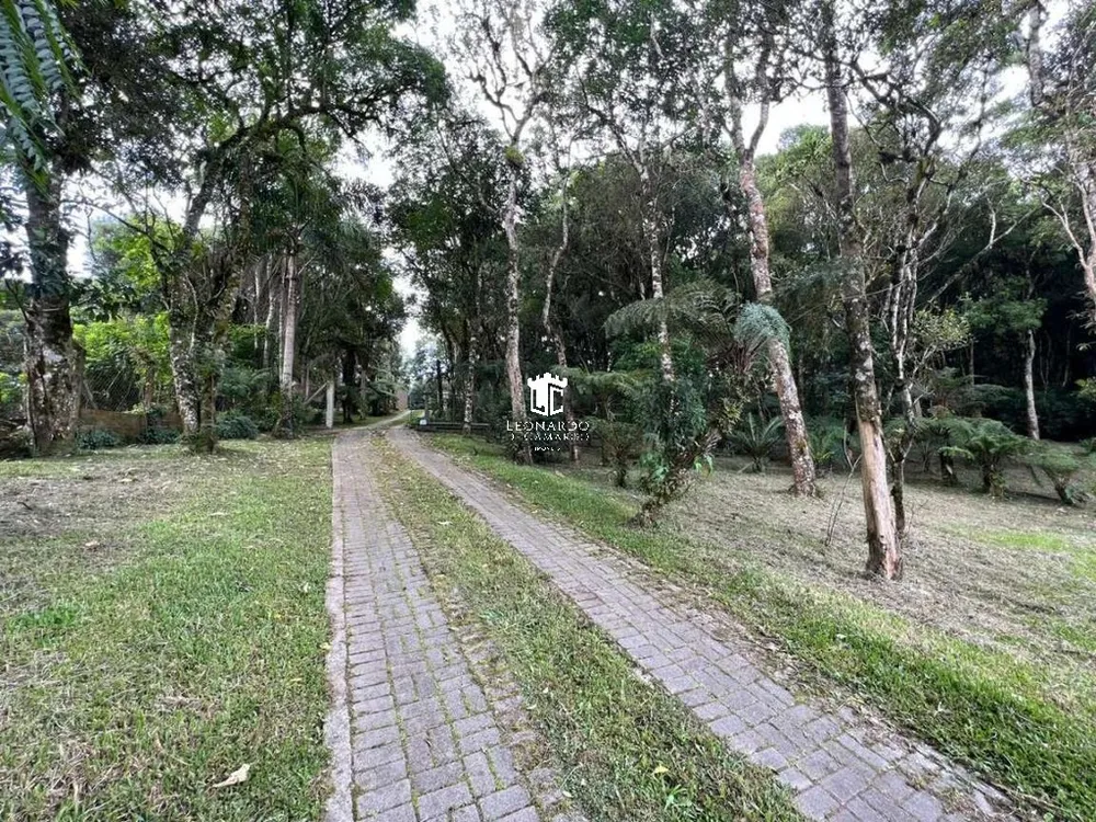 Chácara, 3 quartos, 6590 m² - Foto 7