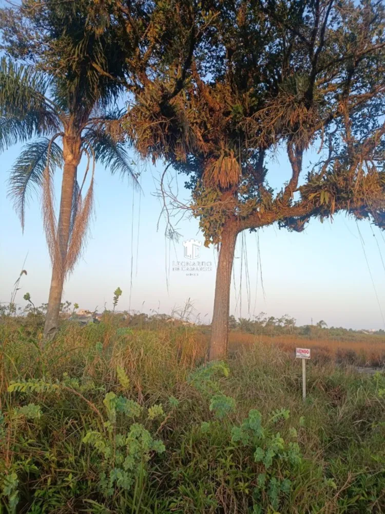 Terreno, 360 m² - Foto 4
