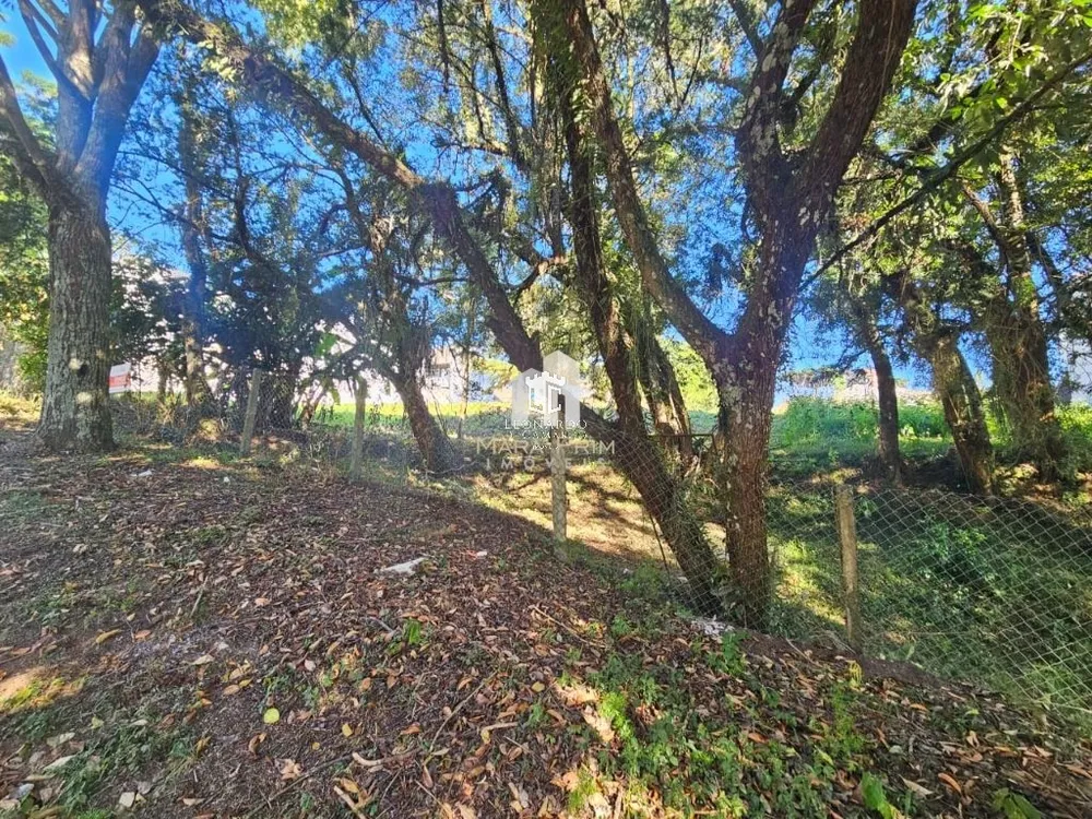 Terreno, 786 m² - Foto 6