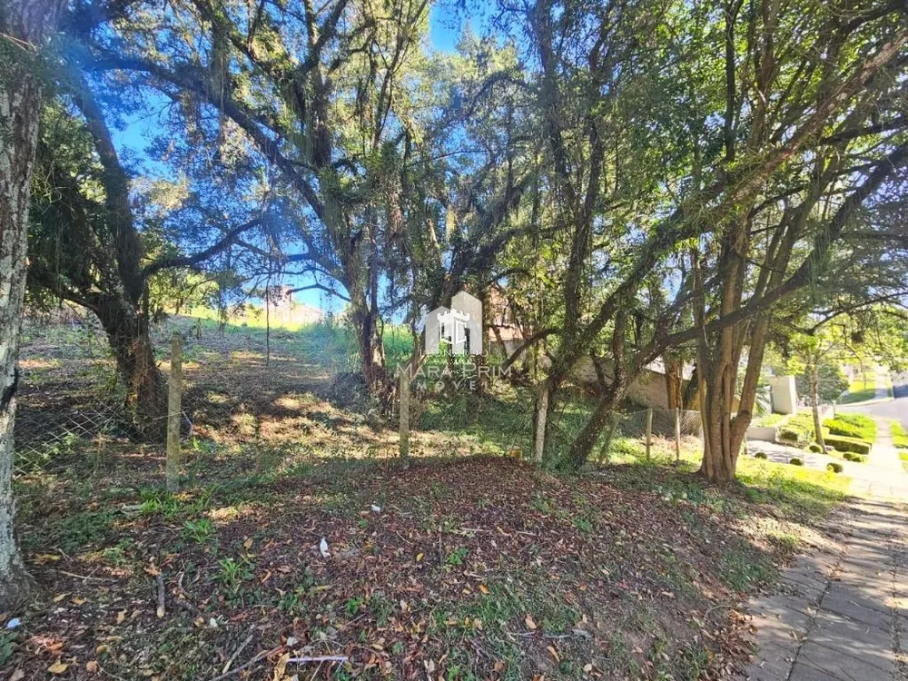 Terreno, 786 m² - Foto 4
