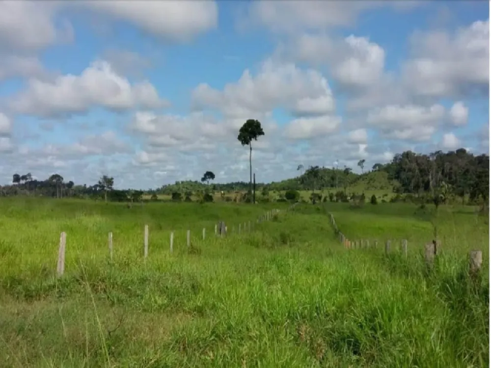 Fazenda - Foto 1