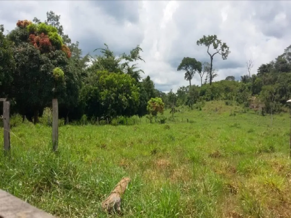 Fazenda - Foto 4