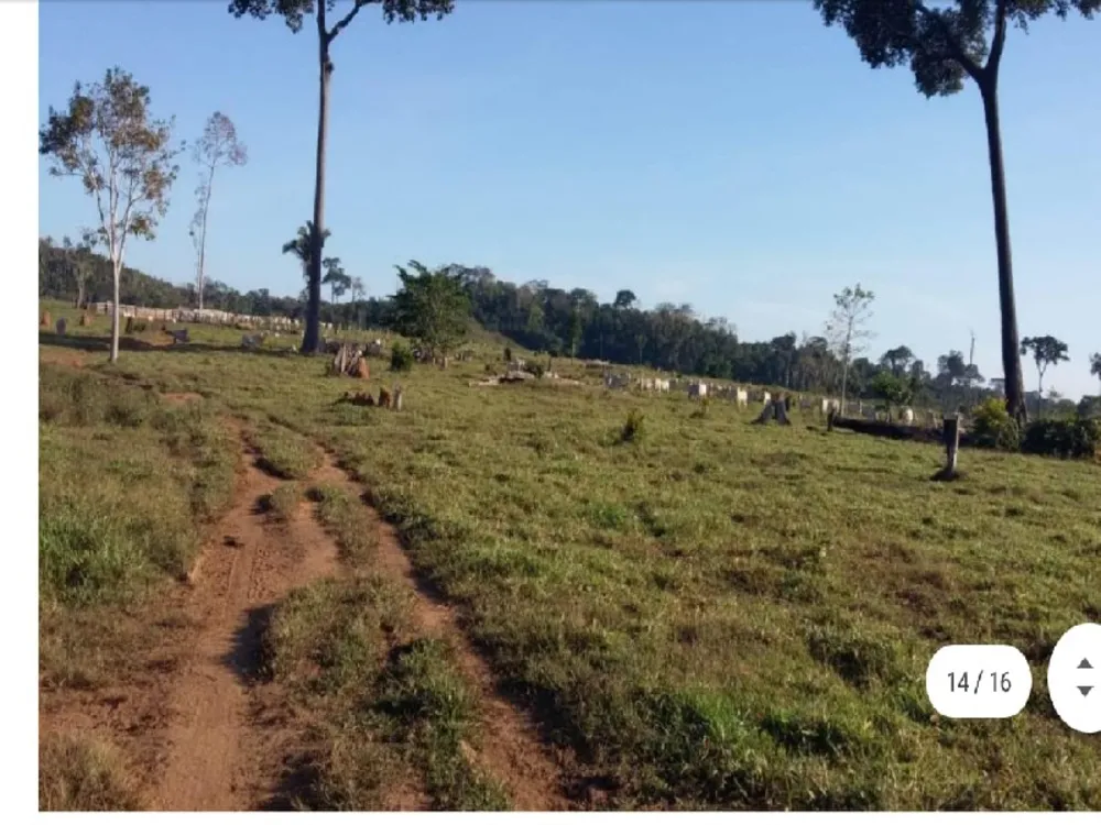 Fazenda - Foto 2