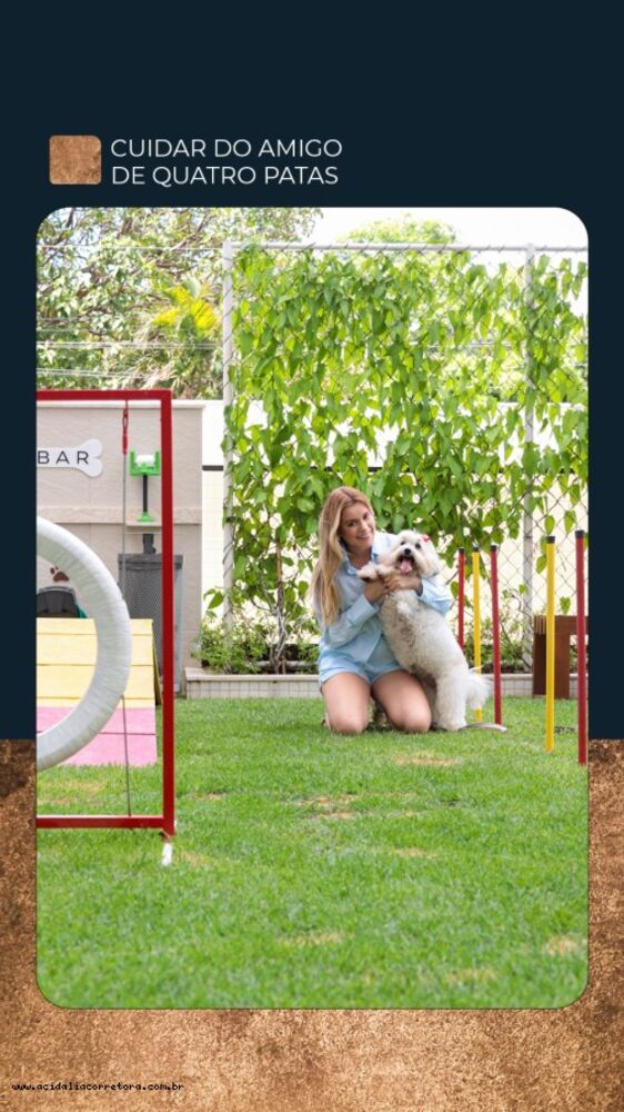 Casa, 4 quartos - Foto 4