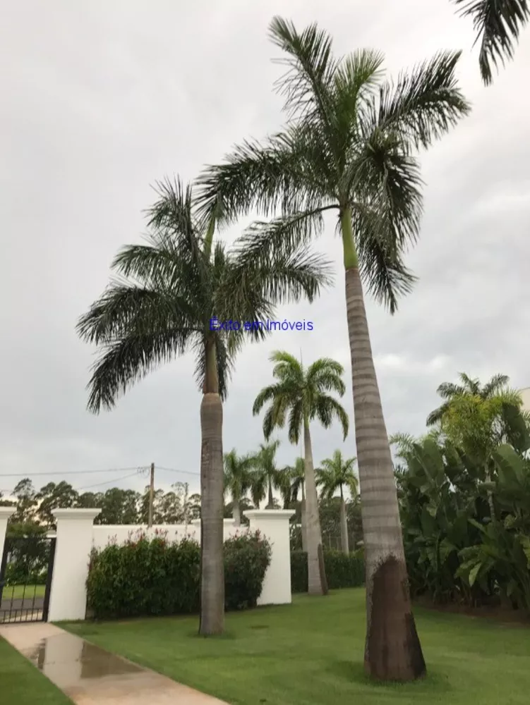 Terreno, 915 m² - Foto 2