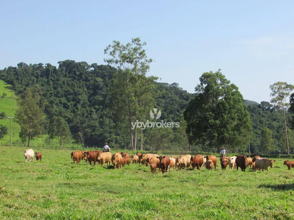 Fazenda, 404 hectares - Foto 6