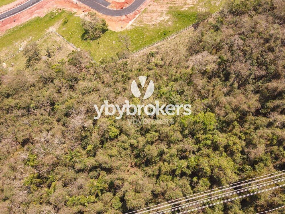 Terreno, 14 hectares - Foto 2