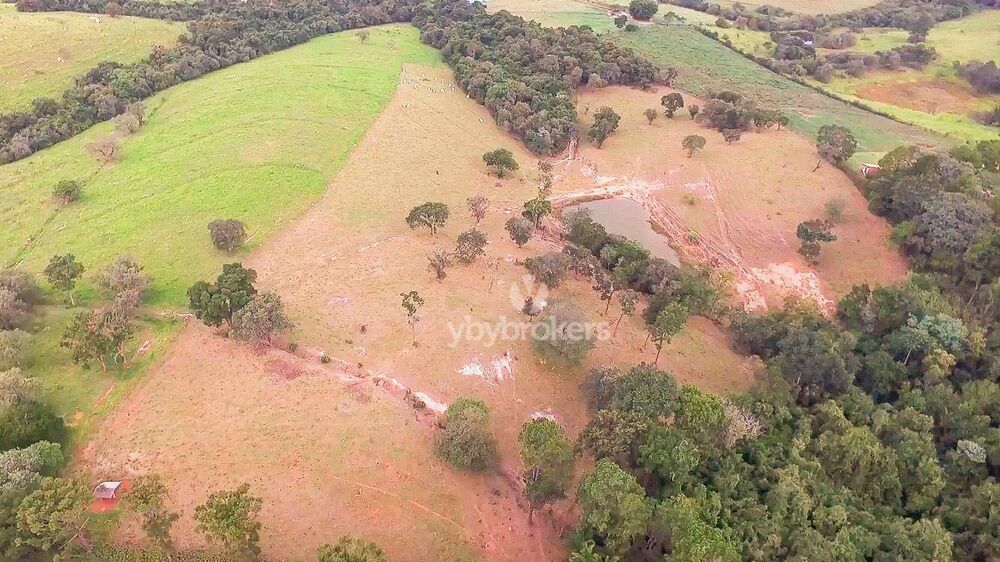 Terreno, 19 hectares - Foto 2