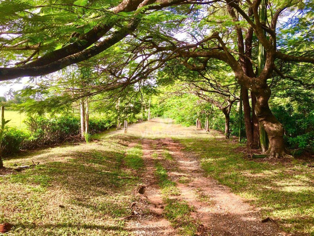 Terreno, 19 hectares - Foto 3