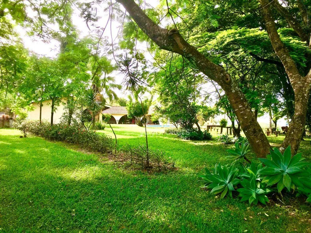 Terreno, 19 hectares - Foto 8