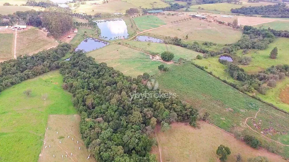 Terreno, 19 hectares - Foto 6
