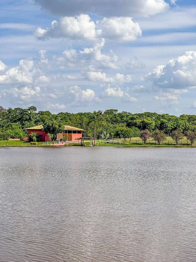 Fazenda, 44 hectares - Foto 8