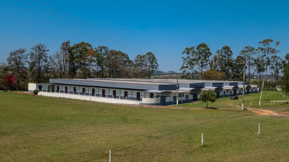 Fazenda, 52 hectares - Foto 8