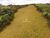 Terreno, 8 hectares - Foto 4