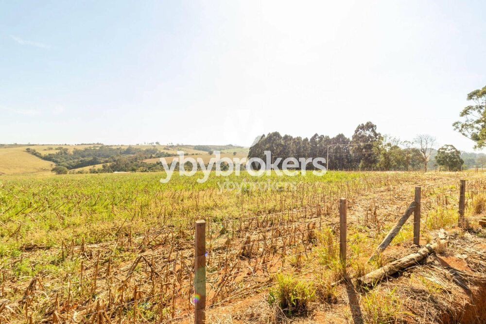 Terreno, 33 hectares - Foto 4