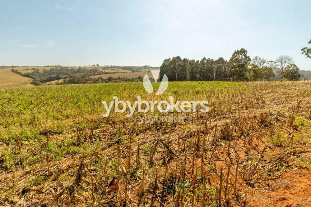 Terreno, 33 hectares - Foto 8