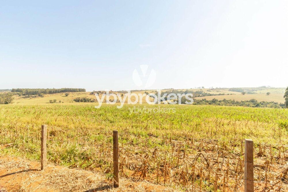 Terreno, 33 hectares - Foto 3