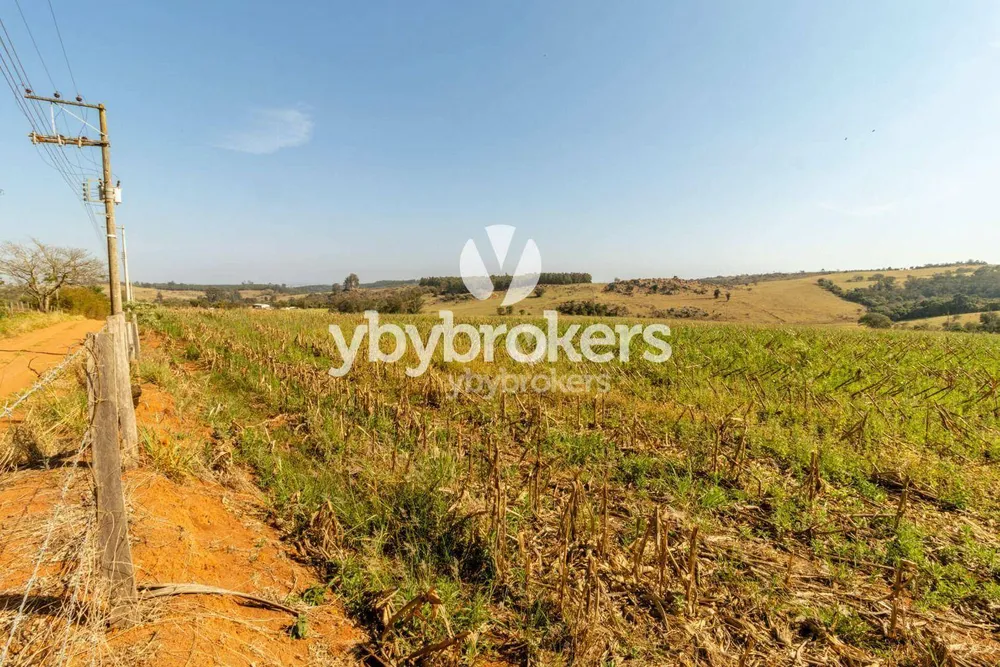 Terreno, 33 hectares - Foto 7