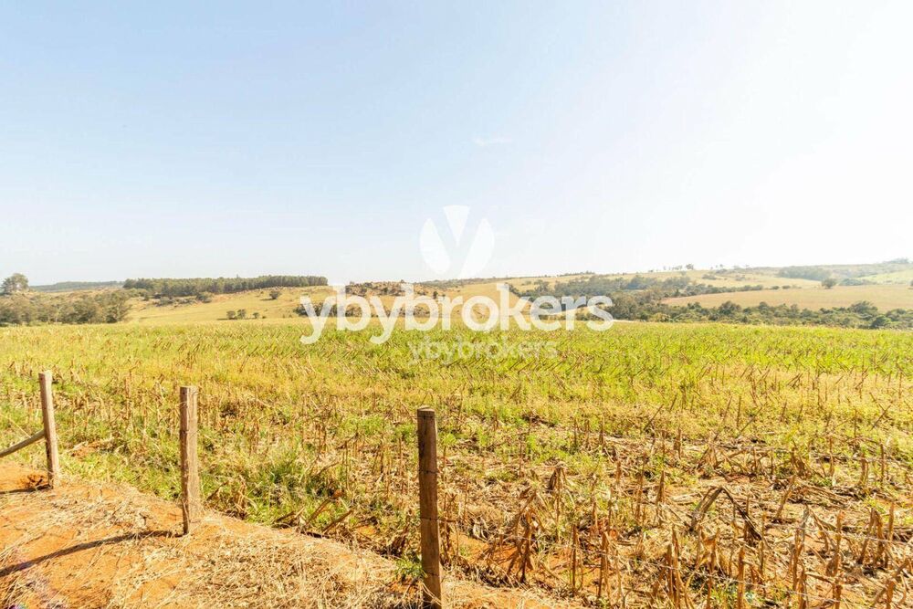 Terreno, 33 hectares - Foto 2