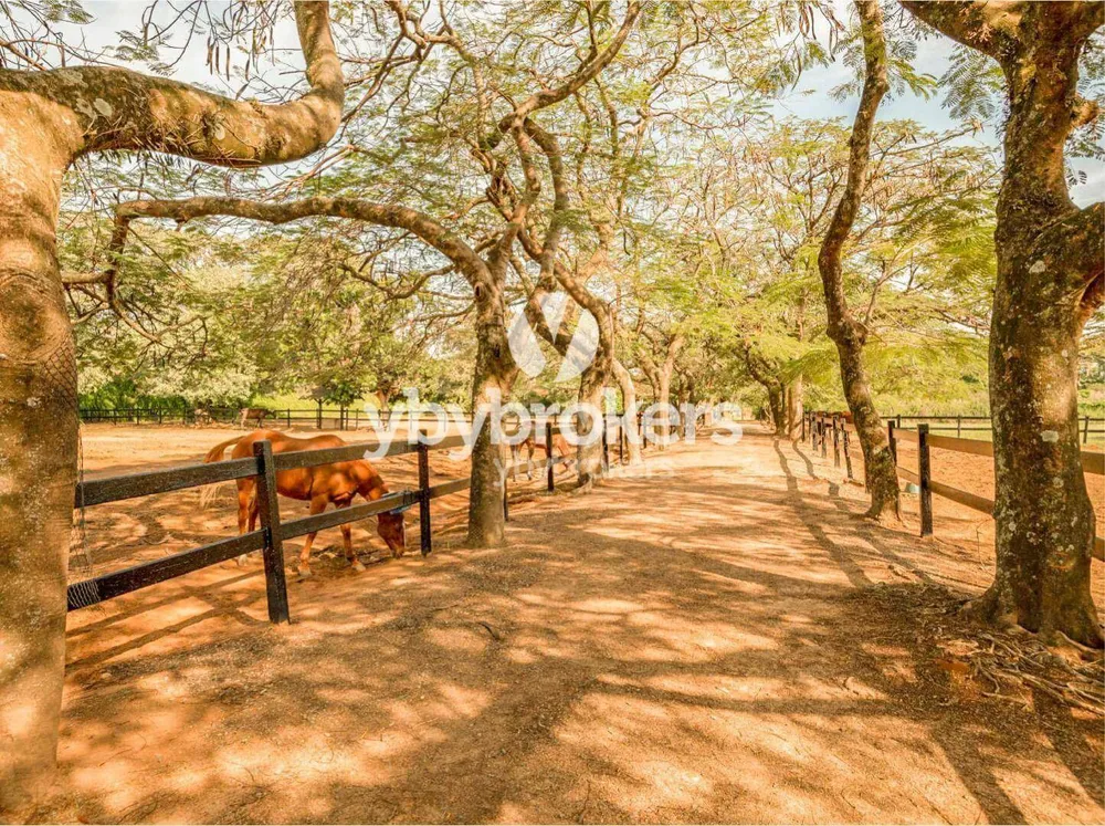 Fazenda, 5 hectares - Foto 10