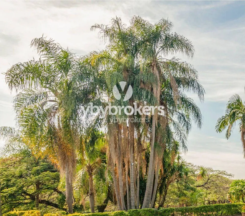 Fazenda, 5 hectares - Foto 9