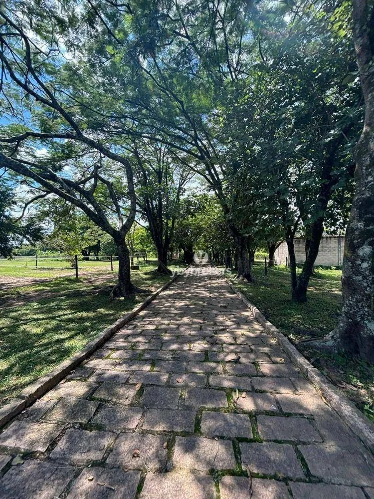 Sítio, 5 quartos, 6 hectares - Foto 7
