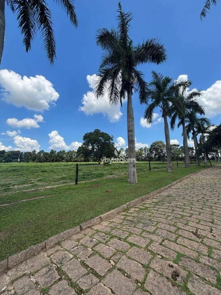Sítio, 5 quartos, 6 hectares - Foto 3