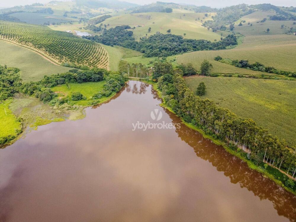 Fazenda, 46 hectares - Foto 24