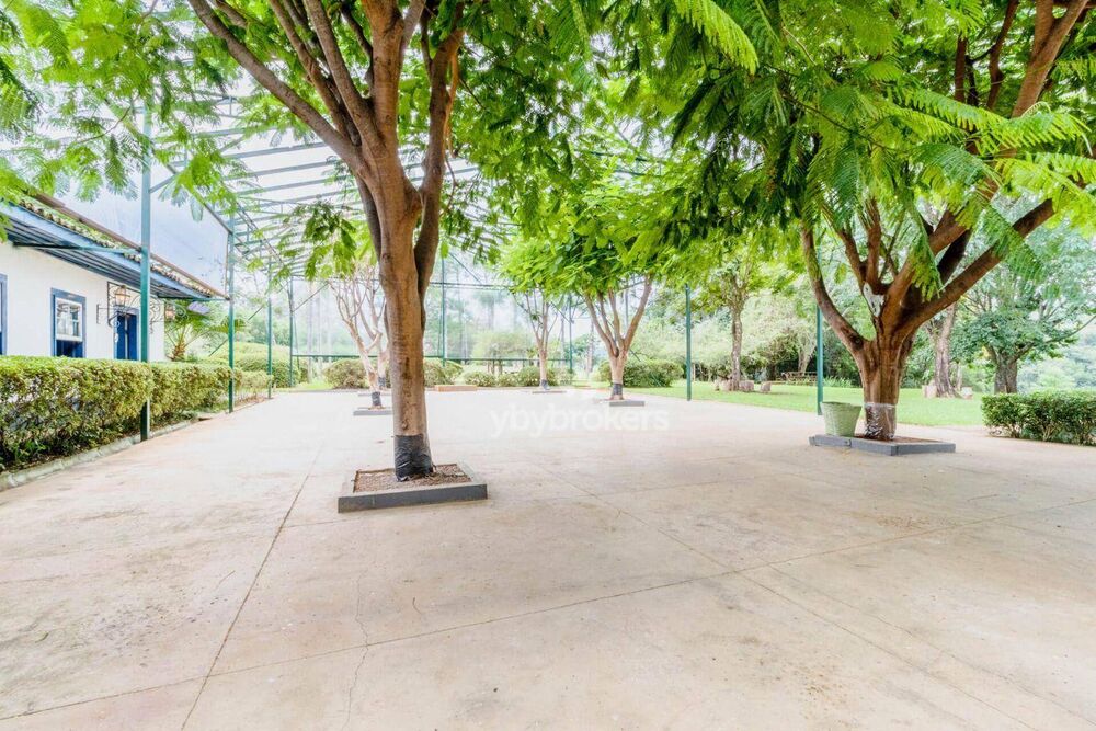 Fazenda, 46 hectares - Foto 18