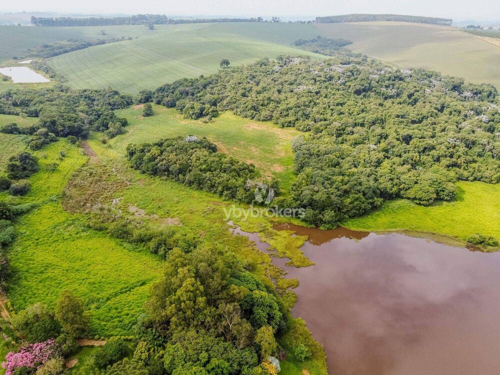 Fazenda, 46 hectares - Foto 23