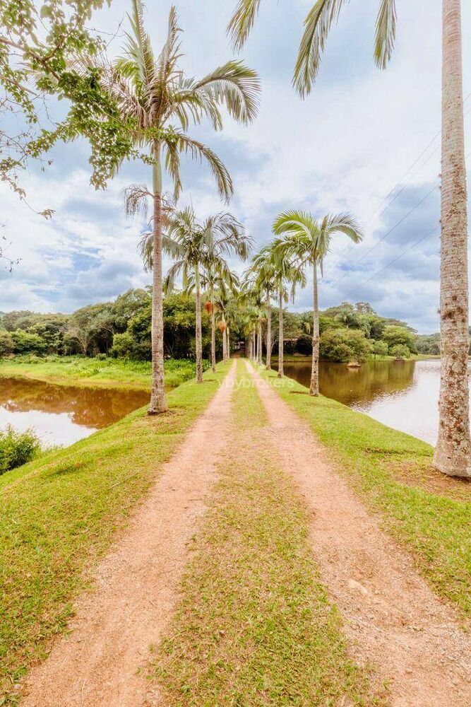 Fazenda, 46 hectares - Foto 2
