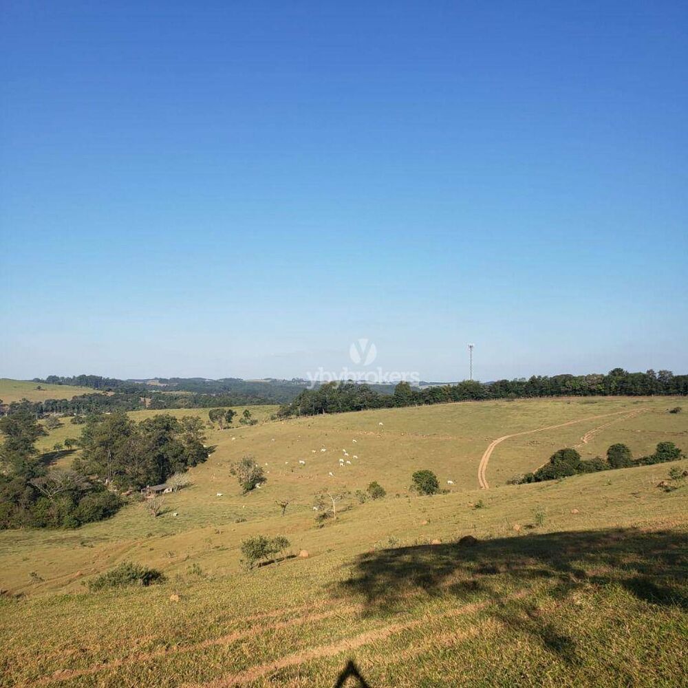 Terreno, 32 hectares - Foto 1