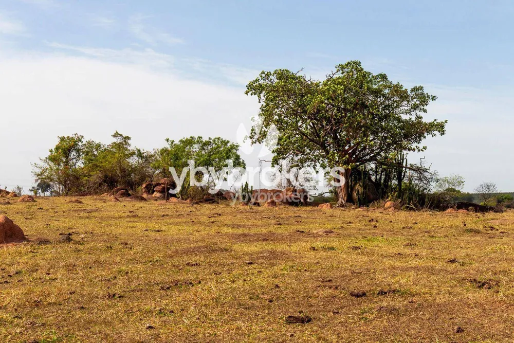 Terreno, 169 hectares - Foto 6