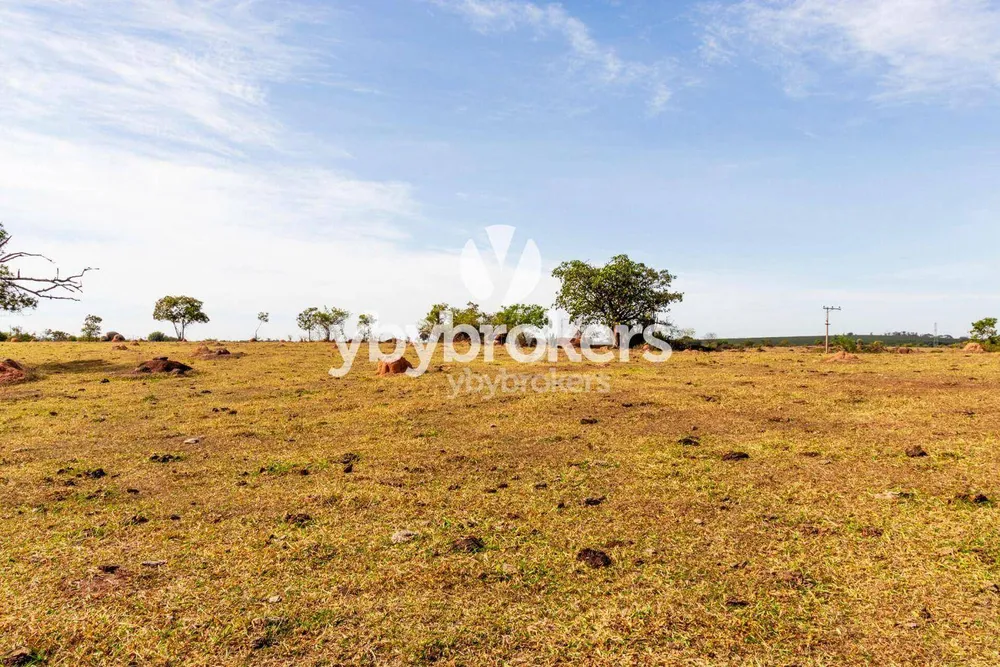 Terreno, 169 hectares - Foto 7
