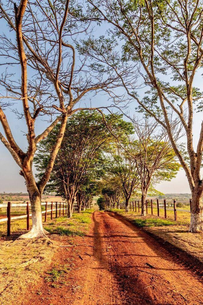 Fazenda à venda com 1 quarto, 6000m² - Foto 2
