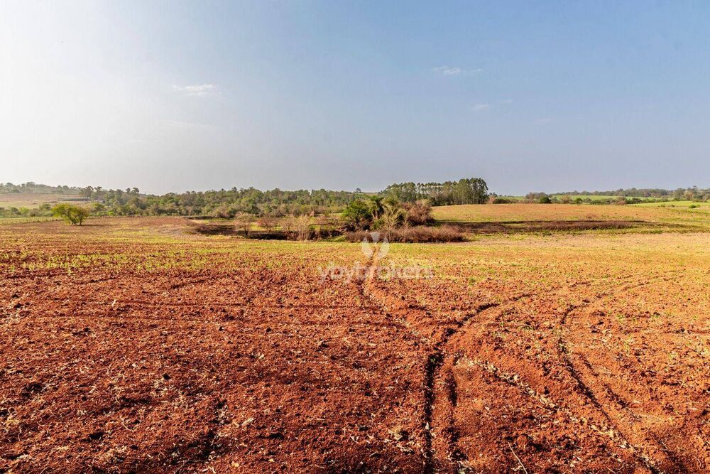Fazenda à venda com 1 quarto, 6000m² - Foto 8