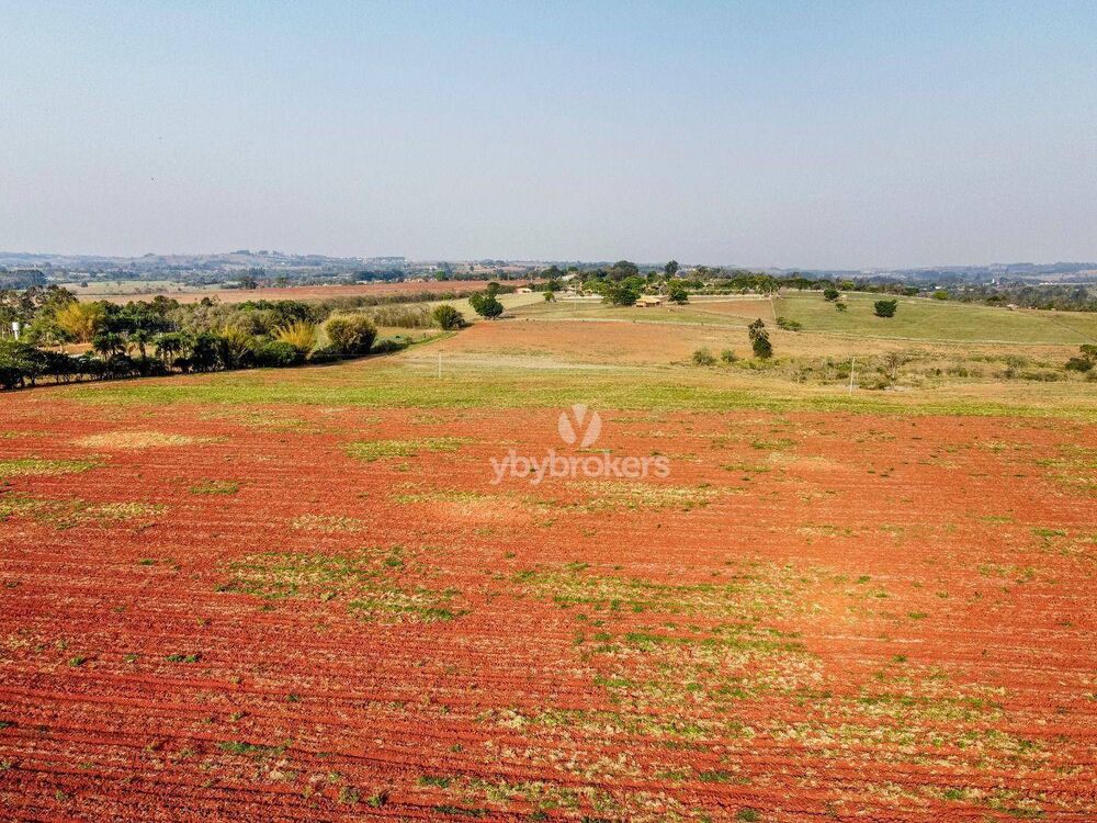 Fazenda à venda com 1 quarto, 6000m² - Foto 6