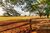 Fazenda, 94 hectares - Foto 10