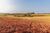 Fazenda, 94 hectares - Foto 8