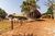 Fazenda, 94 hectares - Foto 16