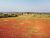 Fazenda, 94 hectares - Foto 6