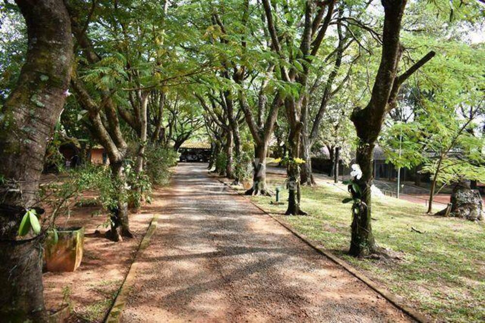 Chácara, 6 quartos, 10 hectares - Foto 4