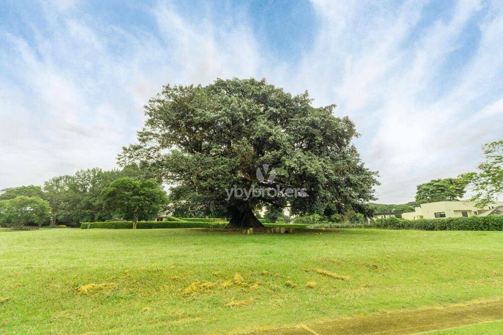Loteamento e Condomínio, 2300 m² - Foto 1